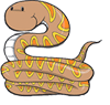 Cute Python