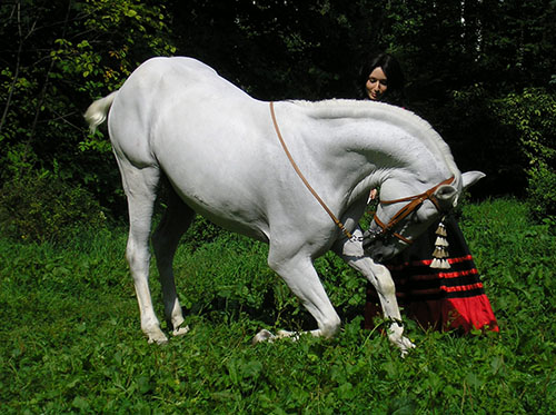 Andalusian Horse with female dancer-trainer