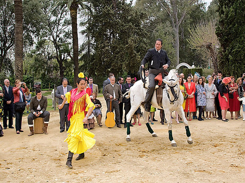 Outdoor Dancing Show